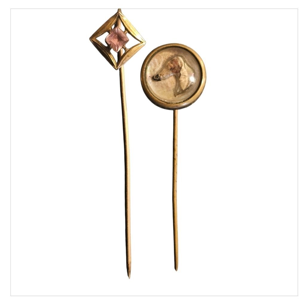 2Antique Rare 1800-1900s Gold Stick Pins Dog Animal Essex Crystal reverse carved
